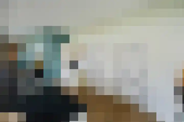 Wijheseweg 8 Olst thumbnail 16