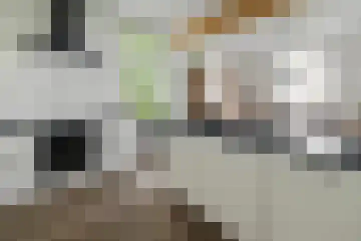 Wijheseweg 8 Olst thumbnail 18