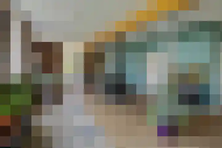 Wijheseweg 8 Olst thumbnail 21