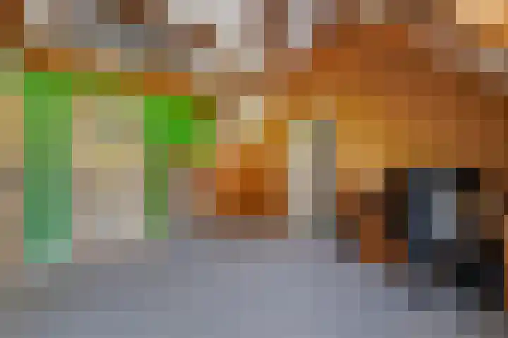 Wijheseweg 8 Olst thumbnail 23