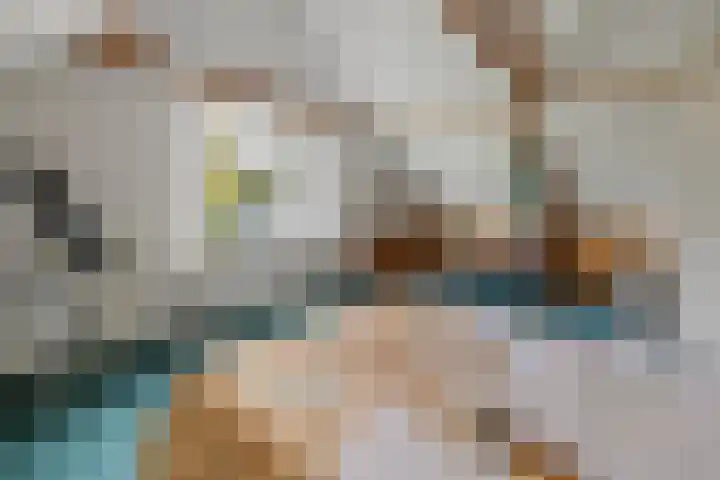 Wijheseweg 8 Olst thumbnail 27