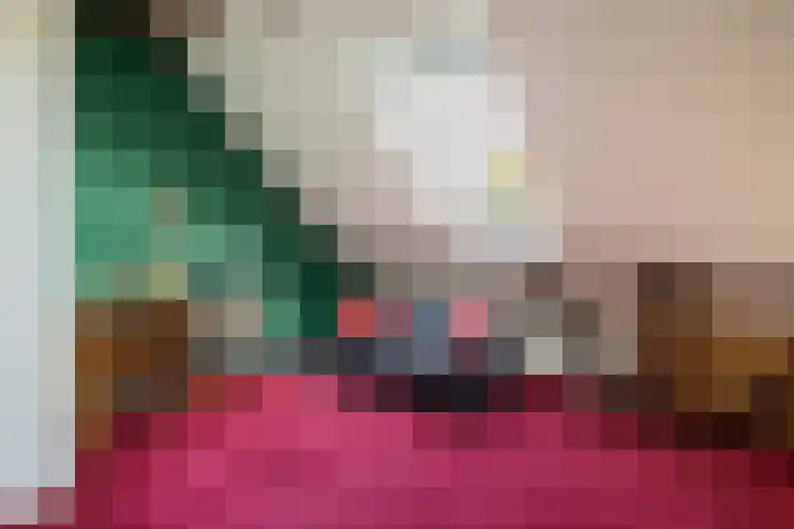 Wijheseweg 8 Olst thumbnail 29
