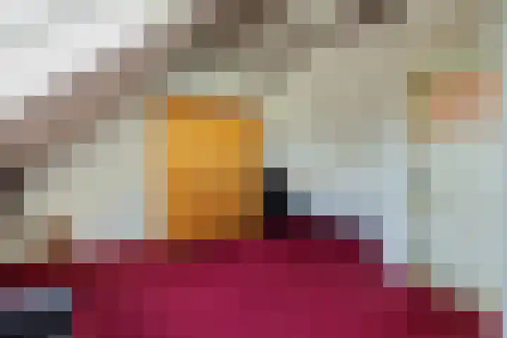 Wijheseweg 8 Olst thumbnail 30