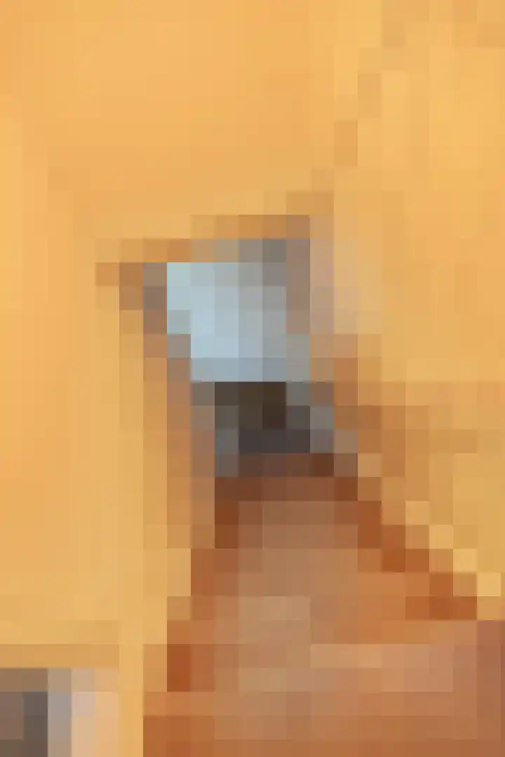 Wijheseweg 8 Olst thumbnail 32