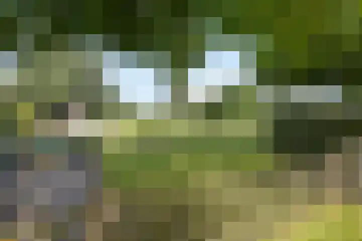 Wijheseweg 8 Olst thumbnail 37