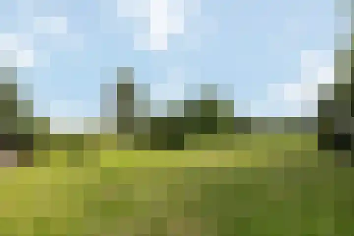 Wijheseweg 8 Olst thumbnail 38