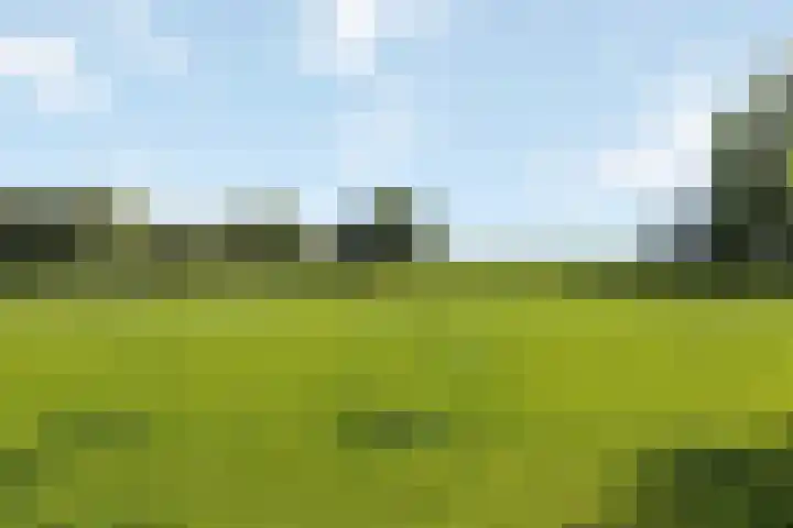 Wijheseweg 8 Olst thumbnail 39