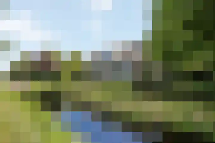 Wijheseweg 8 Olst thumbnail 4