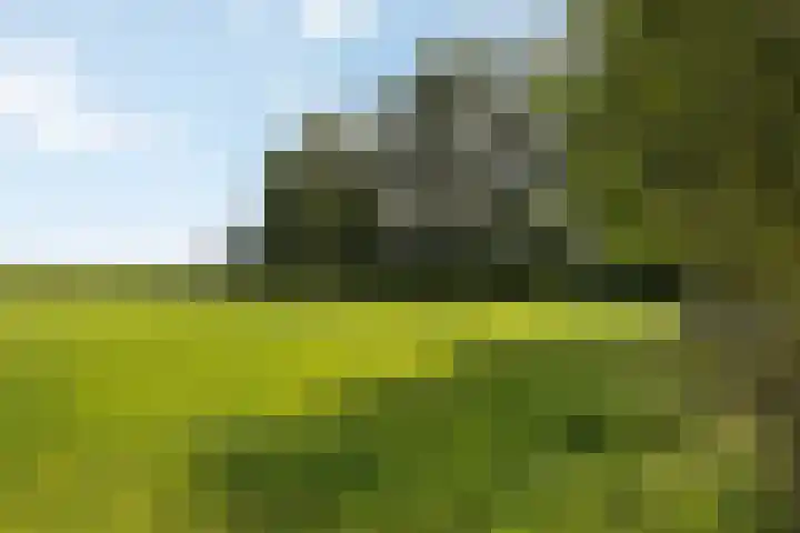 Wijheseweg 8 Olst thumbnail 40