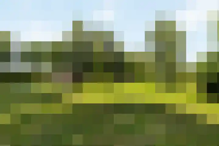 Wijheseweg 8 Olst thumbnail 41