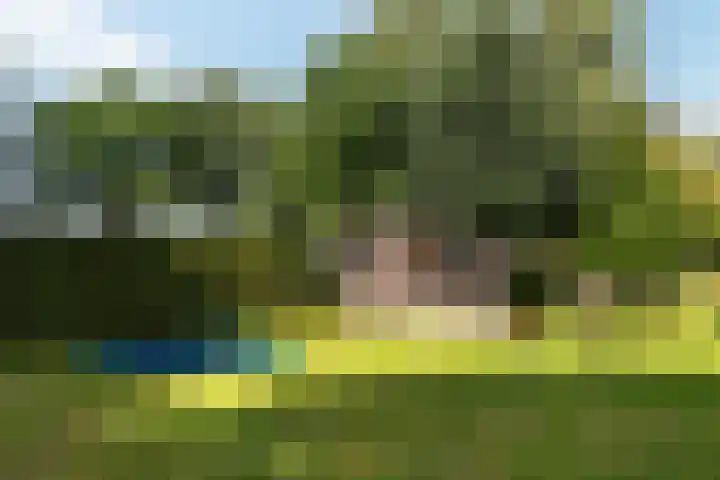 Wijheseweg 8 Olst thumbnail 42
