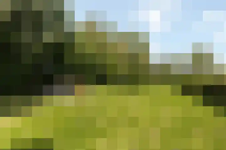 Wijheseweg 8 Olst thumbnail 43