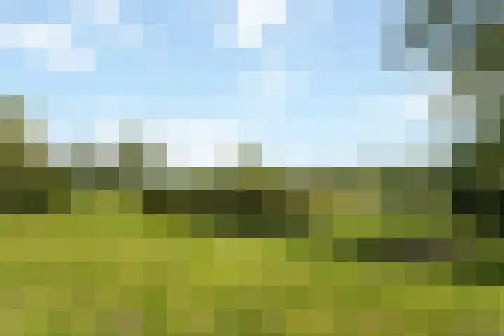 Wijheseweg 8 Olst thumbnail 45