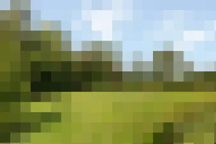 Wijheseweg 8 Olst thumbnail 46