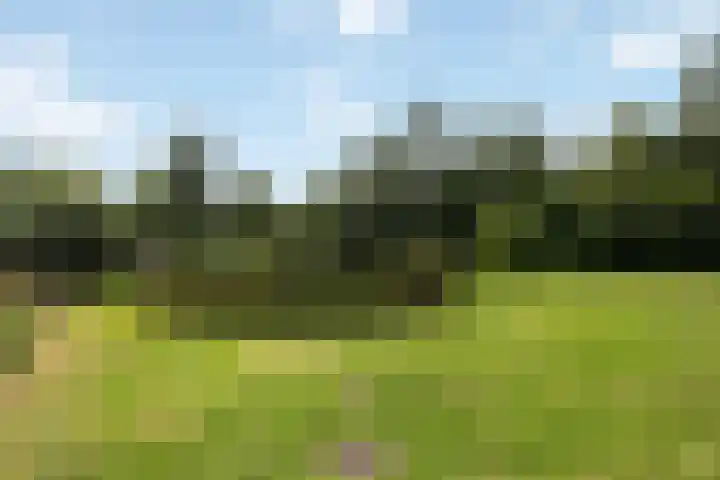 Wijheseweg 8 Olst thumbnail 47