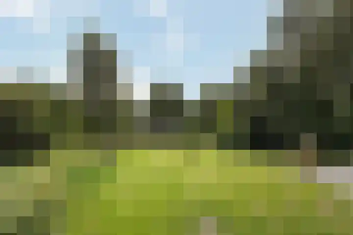 Wijheseweg 8 Olst thumbnail 48