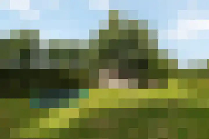 Wijheseweg 8 Olst thumbnail 49