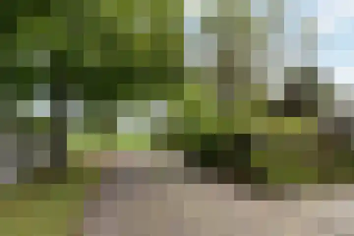 Wijheseweg 8 Olst thumbnail 52