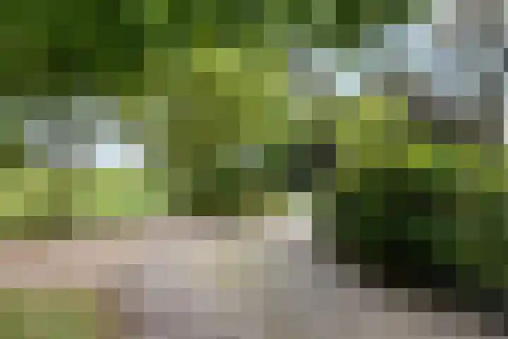 Wijheseweg 8 Olst thumbnail 53