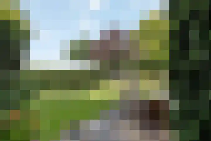 Wijheseweg 8 Olst thumbnail 55