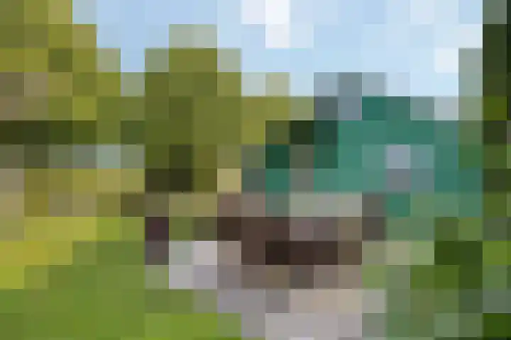 Wijheseweg 8 Olst thumbnail 56