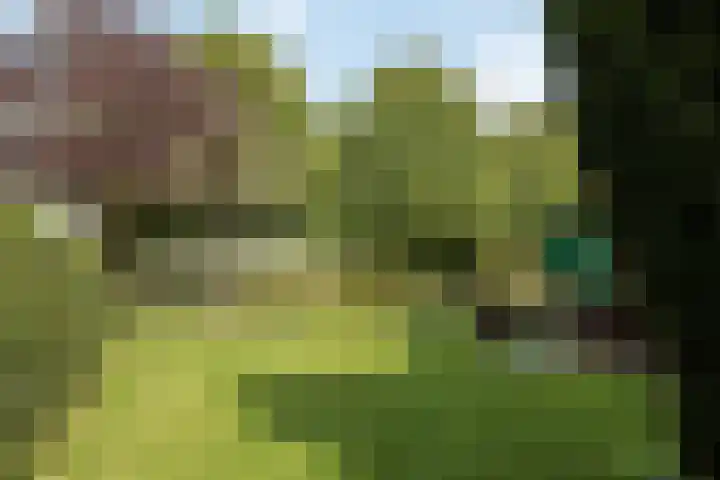 Wijheseweg 8 Olst thumbnail 57