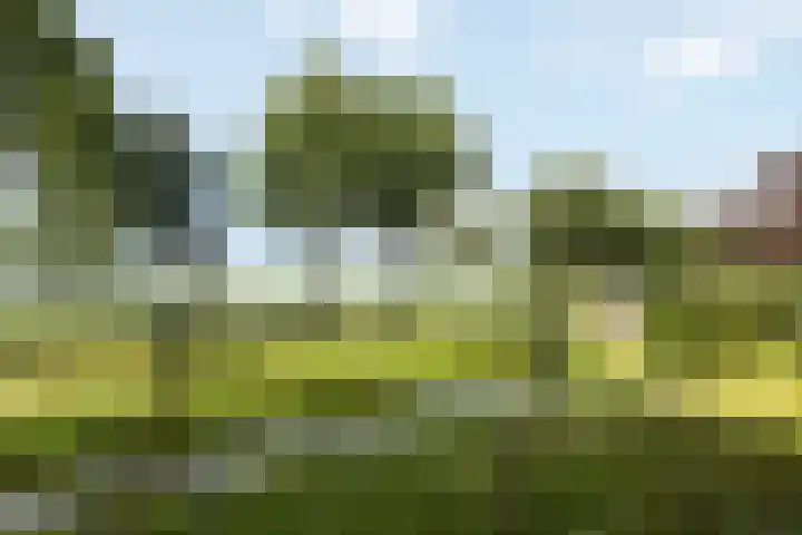 Wijheseweg 8 Olst thumbnail 58