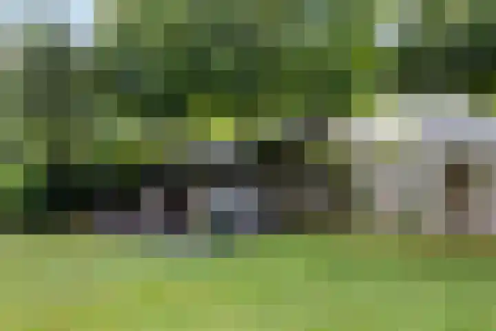 Wijheseweg 8 Olst thumbnail 61
