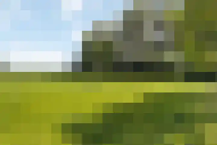 Wijheseweg 8 Olst thumbnail 62