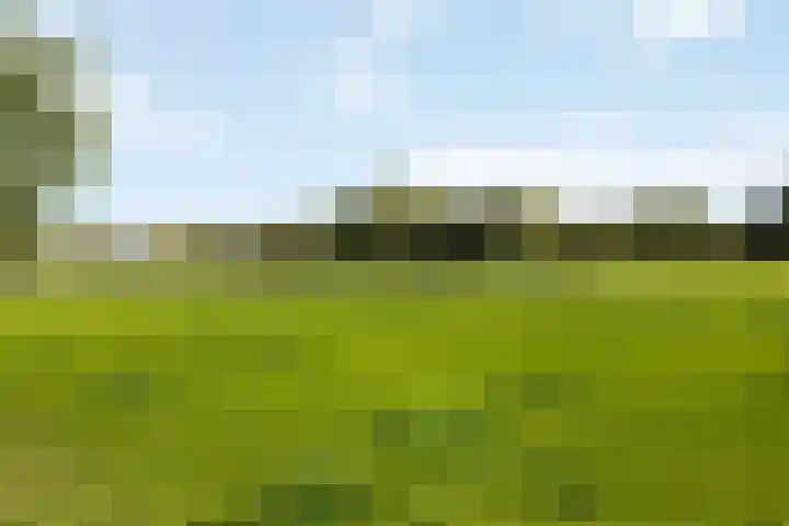 Wijheseweg 8 Olst thumbnail 63