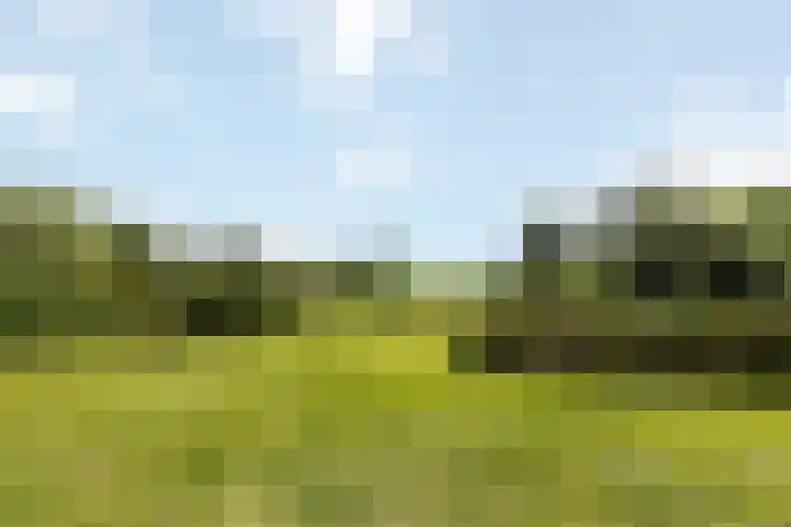 Wijheseweg 8 Olst thumbnail 64