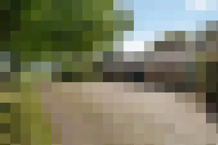 Wijheseweg 8 Olst thumbnail 65