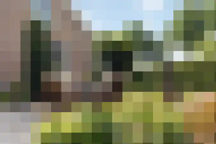 Wijheseweg 8 Olst thumbnail 67