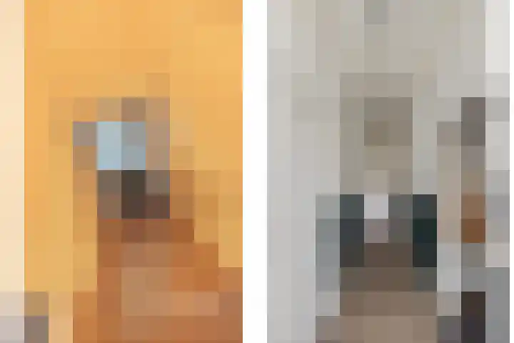 Wijheseweg 8 Olst thumbnail 7