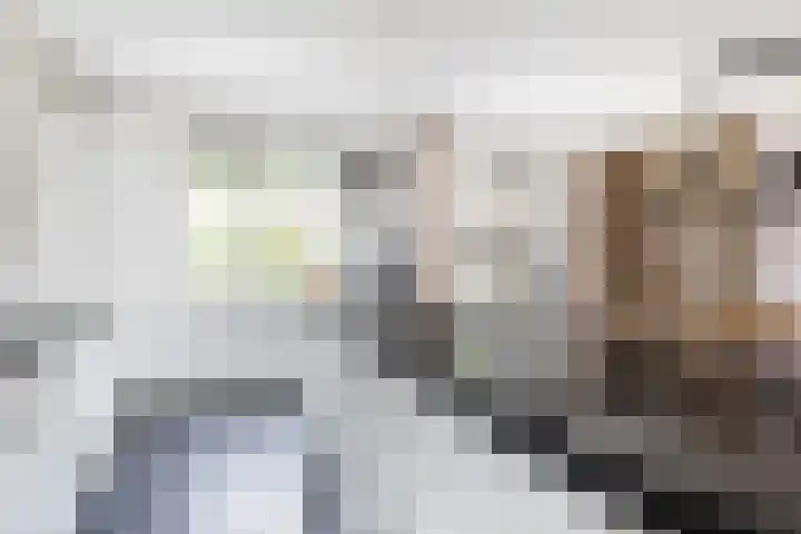 Wijhezicht 39 Wijhe thumbnail 11