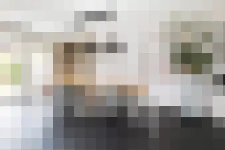 Wijhezicht 39 Wijhe thumbnail 5