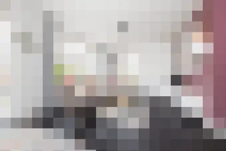 Wijhezicht 39 Wijhe thumbnail 6