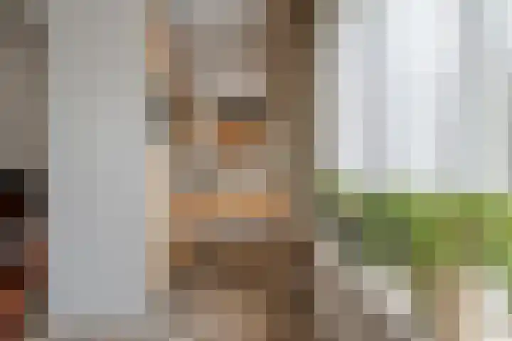 Wijhezicht 42 Wijhe thumbnail 15