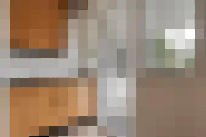 Wijhezicht 42 Wijhe thumbnail 17