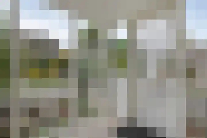 Wijhezicht 42 Wijhe thumbnail 18
