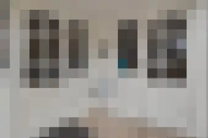 Wijhezicht 42 Wijhe thumbnail 19