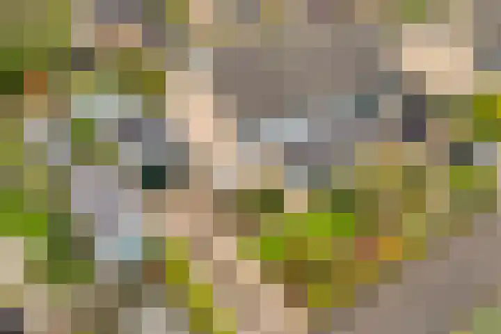 Wijhezicht 42 Wijhe foto 2