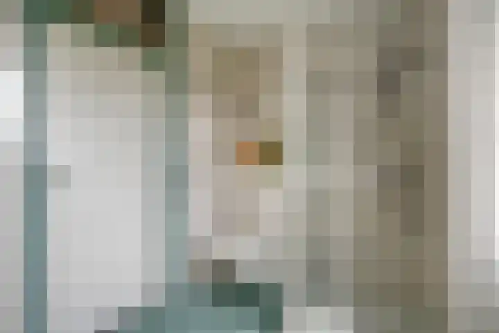 Wijhezicht 42 Wijhe thumbnail 28
