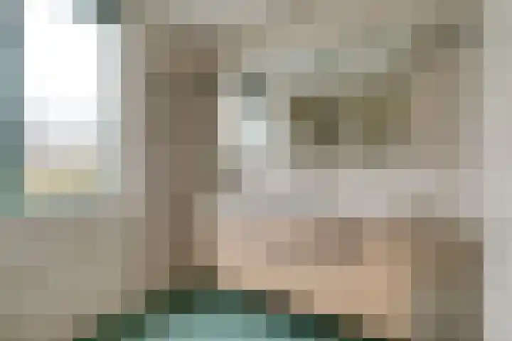 Wijhezicht 42 Wijhe thumbnail 29