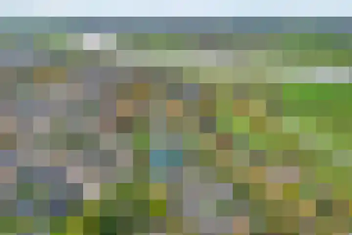 Wijhezicht 42 Wijhe foto 3