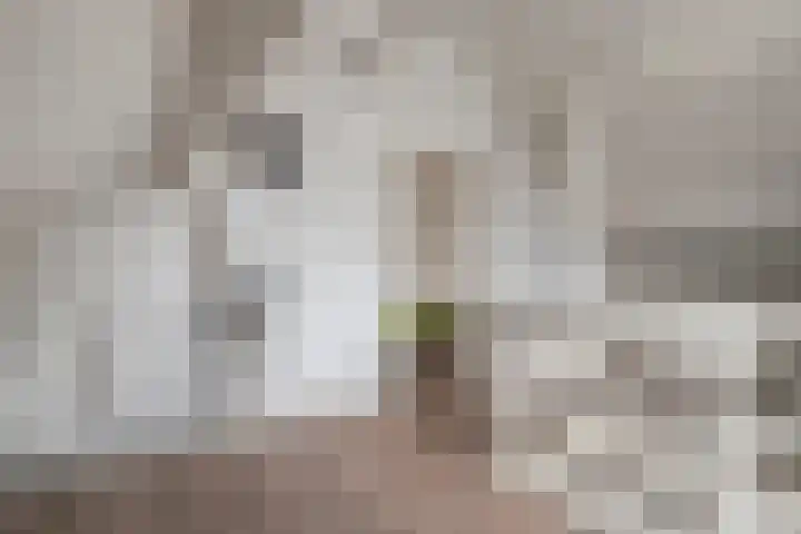 Wijhezicht 42 Wijhe thumbnail 30