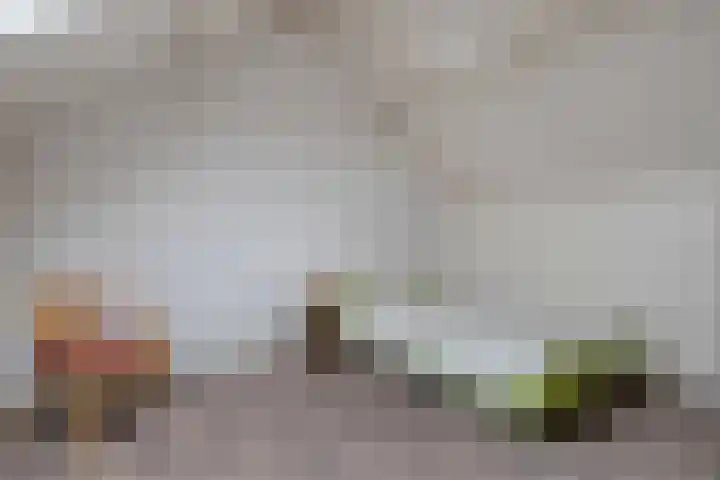 Wijhezicht 42 Wijhe thumbnail 31