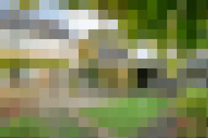 Wijhezicht 42 Wijhe thumbnail 35