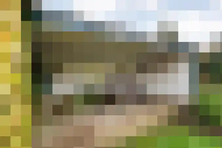 Wijhezicht 42 Wijhe thumbnail 36
