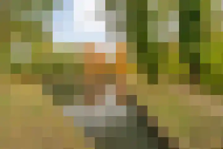 Wijhezicht 42 Wijhe thumbnail 38